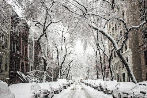 The Basic Factors to Note on How to Prepare for a Blizzard