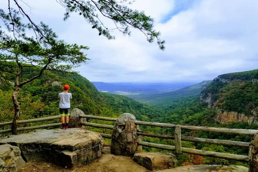 Camping in Georgia: A Great Outdoor Adventure This 2024