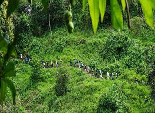 Understanding What Is Eco-Tourism