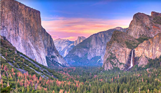 Exploring the Wonders of Camping in California