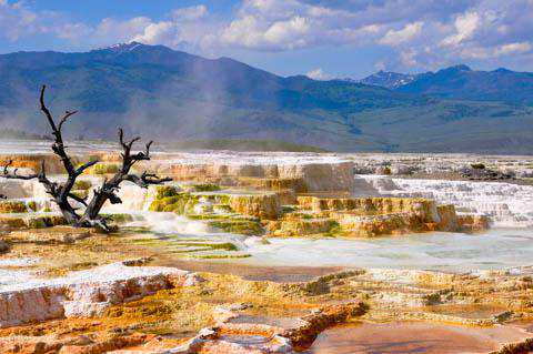 Yellowstone Travel Guide - Plan the Perfect Adventure 2023