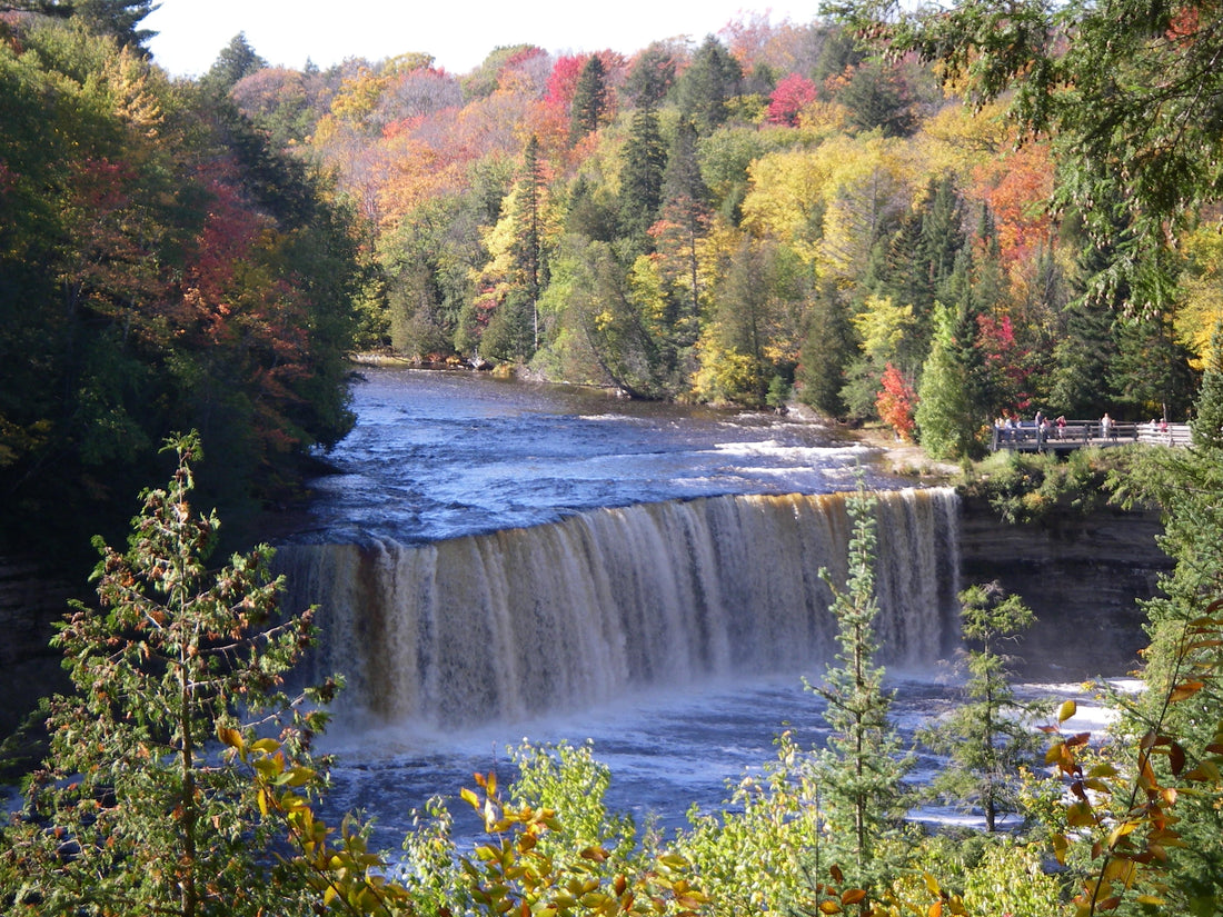 The Adventurer's Guide to Camping in Michigan