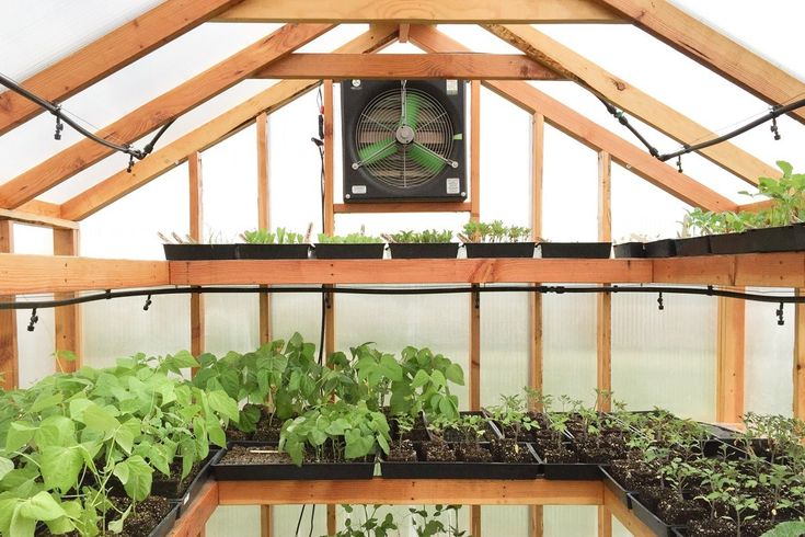 How to Heat a Greenhouse: A Guide to Winter Heating Methods