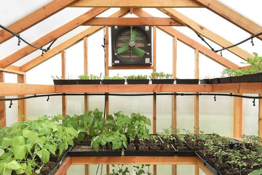 How to Heat a Greenhouse: A Guide to Winter Heating Methods