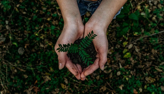 How To Live Sustainably : Lessen Your Carbon Footprint