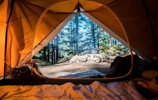 Great Smoky Mountains National Park Camping – Quick Guide