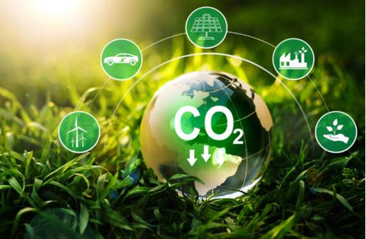 How Do Solar Panels Help the Environment: A Complete Guide