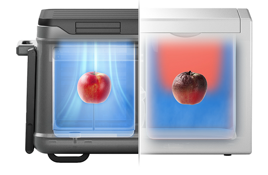 Why is Your Cooler's Temperature Reading Always Inaccurate?