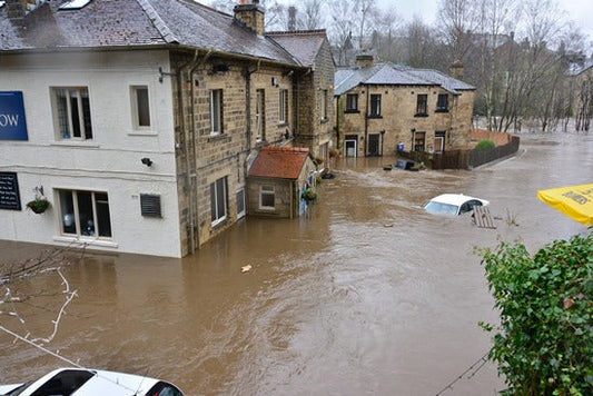 Protect Your Home from Flooding: Portable Solar Generator for Sump Pump Power