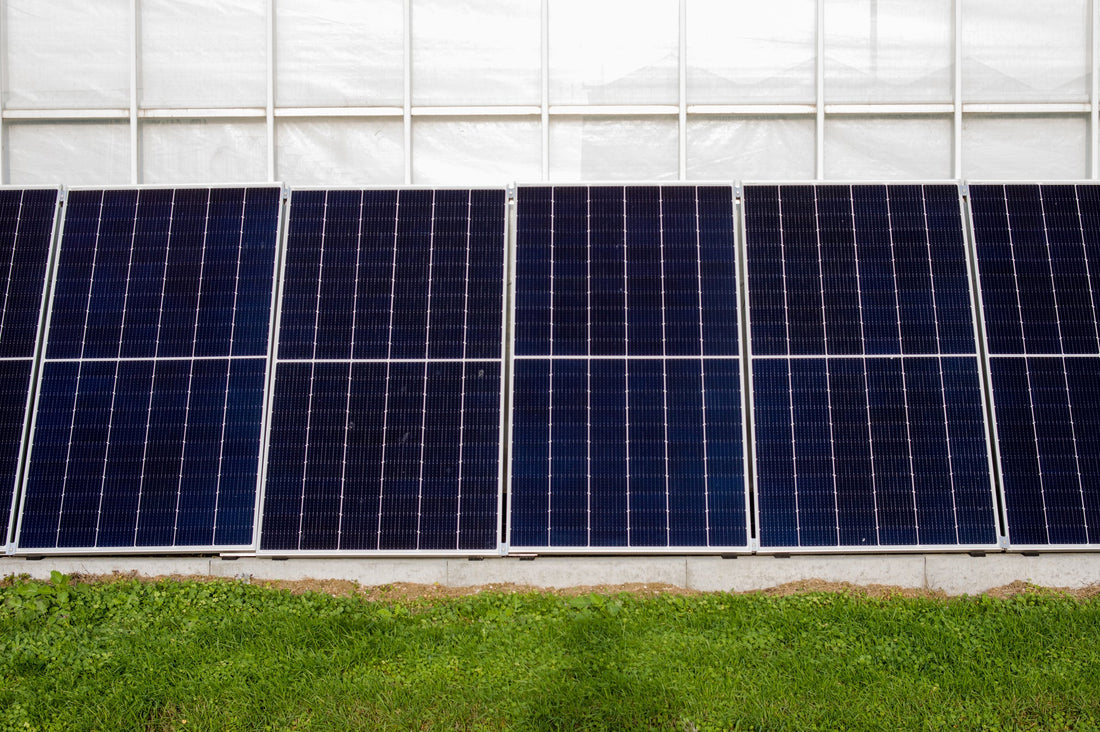 Solar Energy in Greenhouse: Solar Panel Greenhouse, Passive Solar Greenhouse, and Solar Generator