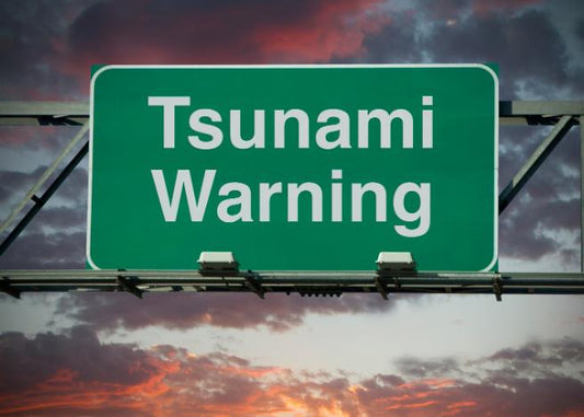Understand the Basics of How To Be Prepared for a Tsunami