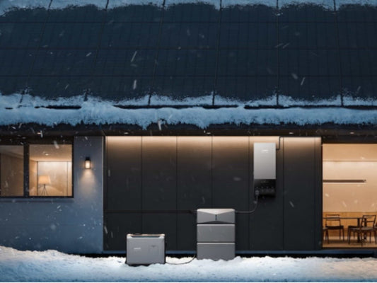 Wet Snow vs Dry Snow: Key Differences and Practical Impacts